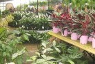 Walgettplant-nursery-7.jpg; ?>